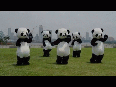 Panda Dance GIF - Pandas Dancing Wtf GIFs
