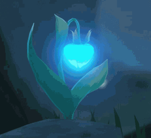 a plant with a blue heart shaped flower growing on a rock
