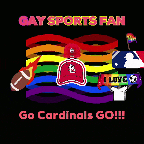 a poster that says " gay sports fan go cardinals go !!! "