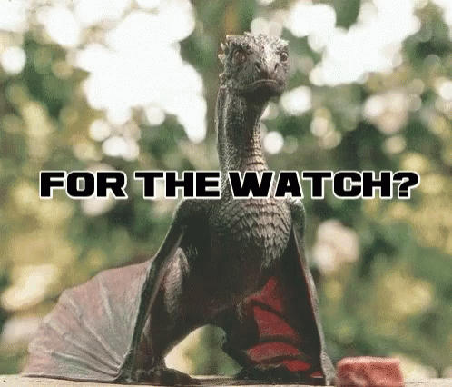 For The Watch Dragon GIF - For The Watch Dragon Go T GIFs