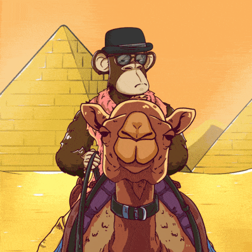 a monkey wearing a hat and sunglasses is riding a camel in front of a pyramid