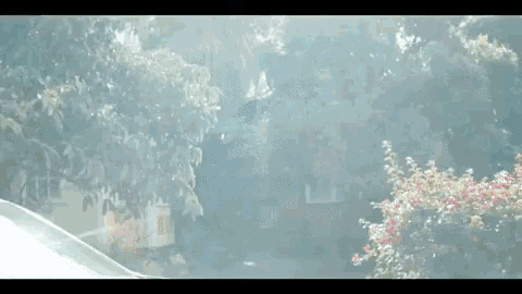 a car is parked in front of a house with a lot of trees in the background .