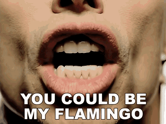 You Could Be My Flamingo Steven Tyler GIF - You Could Be My Flamingo Steven Tyler Aerosmith GIFs