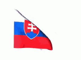 a red white and blue flag with a cross in the middle