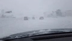 White Out Driving In Snow GIF - White Out Driving In Snow Snow Squall GIFs