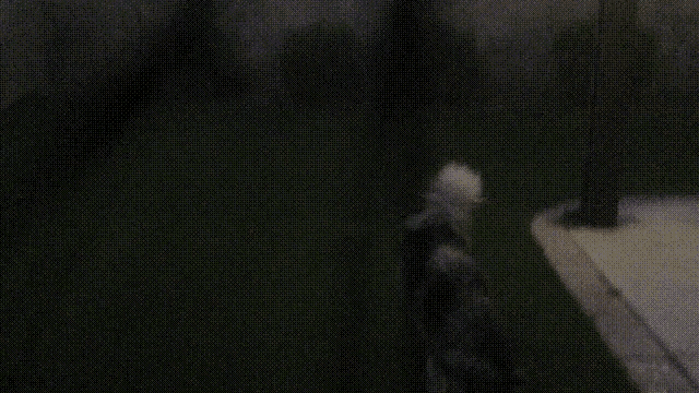 a dog is walking in the dark on a lawn