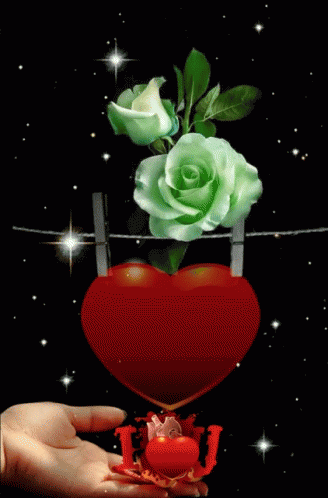 Rose Heart GIF - Rose Heart Hand GIFs