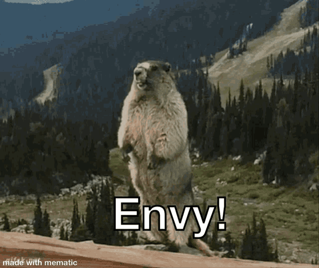 Envy Beaver GIF - Envy Beaver Shout GIFs