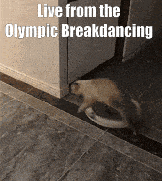 a picture of a cat with the words live from the olympic breakdancing