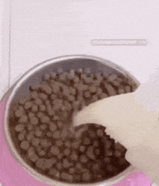 a bowl of dog food is being poured into a bowl .
