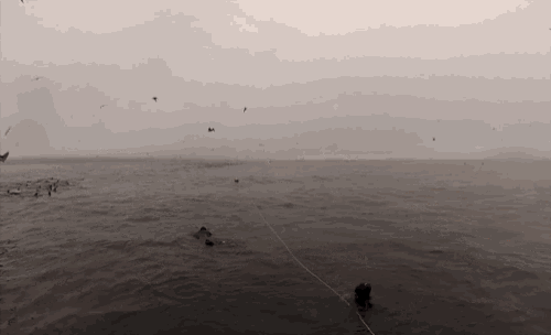 birds are flying over a body of water with a rope in the foreground
