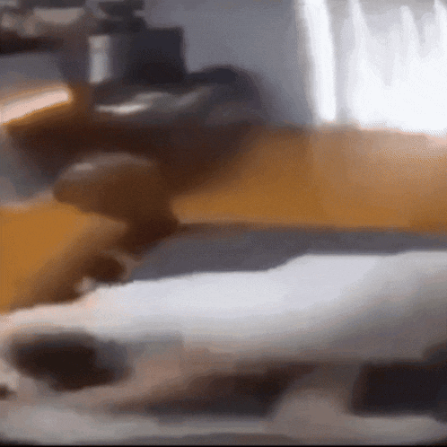 a blurred image of a person standing on a couch