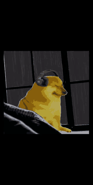 a cheetah wearing headphones looks out a window