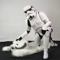 Star Wars Star Trooper GIF - Star Wars Star Trooper Pet GIFs