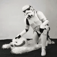 a storm trooper is kneeling down next to a stuffed dog