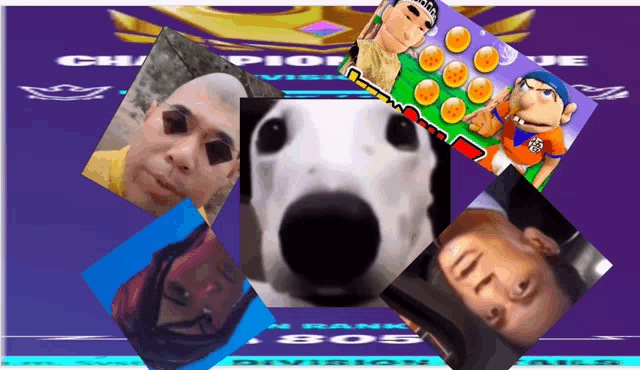 a collage of images with the number 805 on the bottom right