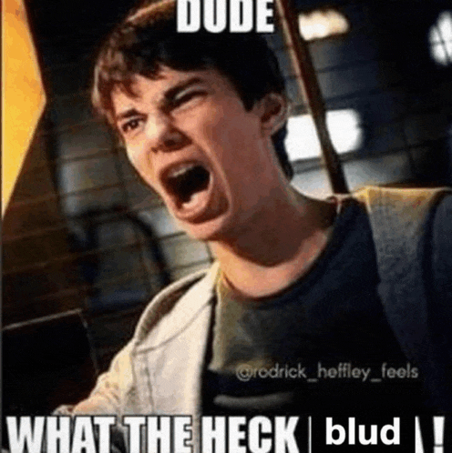 a man is making a funny face with his mouth open and the words `` dude what the heck blud '' .