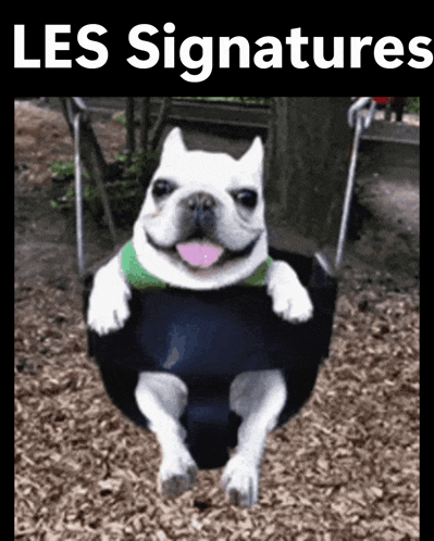 a picture of a dog on a swing with the words " les signatures " below it