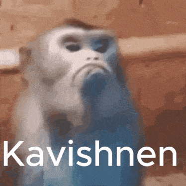 a picture of a monkey with the name kavishnen on the bottom
