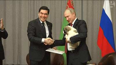 a man in a suit holds a small dog while shaking hands with another man