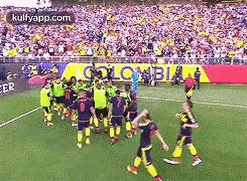 a group of soccer players are walking on a soccer field .