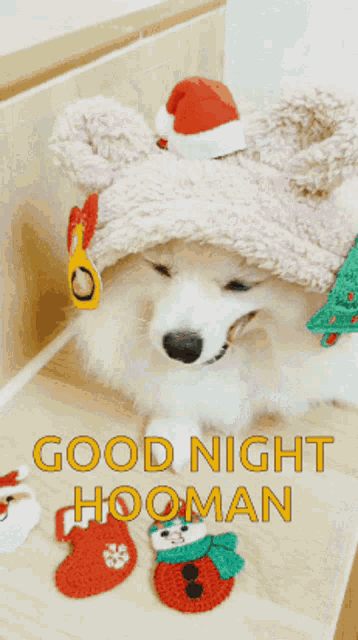 a white dog wearing a santa hat and christmas socks with the words good night hooman below it