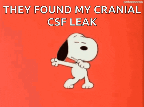 a cartoon of snoopy dancing with the words they found my cranial csf leak below him