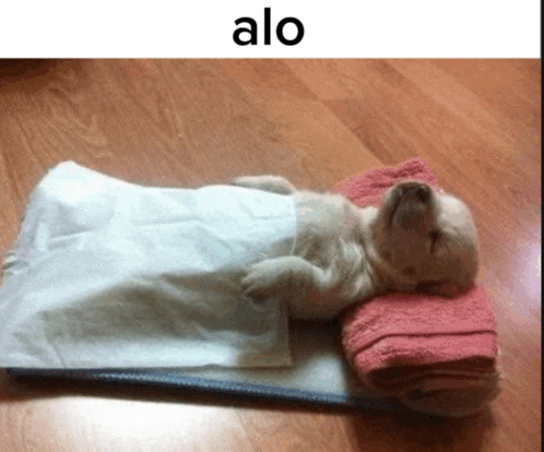 a puppy is sleeping on a pink towel on top of a white pillow ..