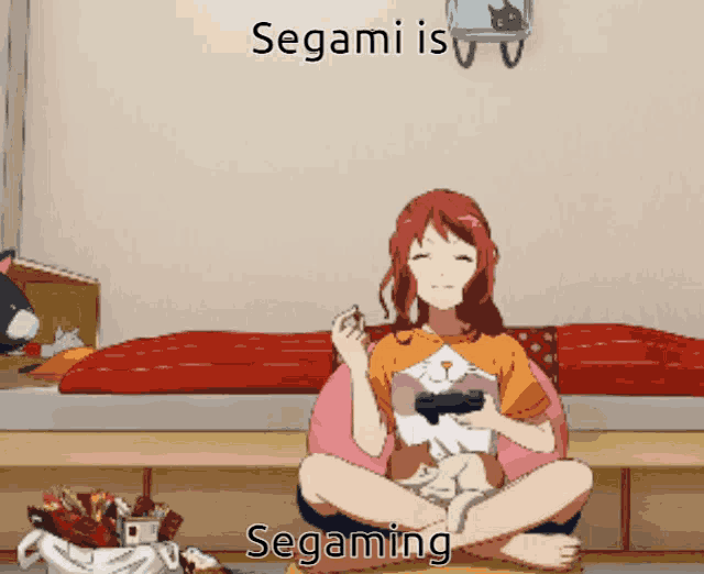 Segami Segaming GIF - Segami Segaming Gaming GIFs