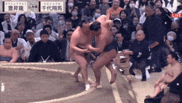 Sumo Hoshoryu GIF