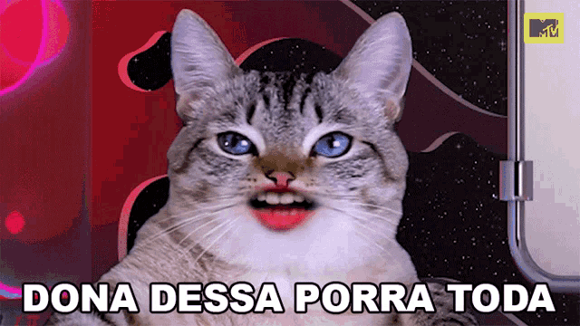 a cat with red lips and the words dona dessa porra toda written below it