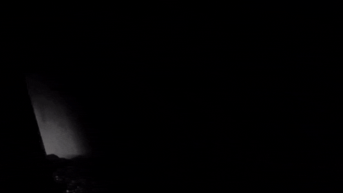 a black and white photo of fireworks in the sky