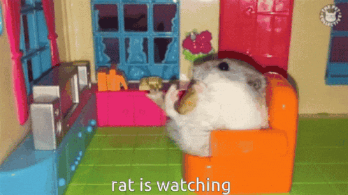a rat is sitting on a couch in a living room with the words " rat is watching " on the bottom