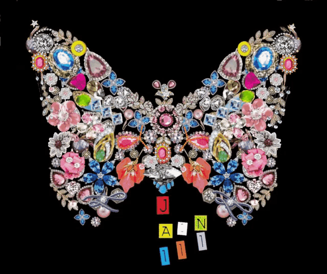 a butterfly made of rhinestones and flowers with the letters j a n and i on it