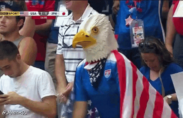 a man wearing an eagle mask and an american flag stands in a crowd