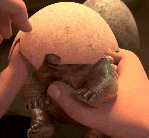 a person is holding a turtle in their hands with a large egg on top of it