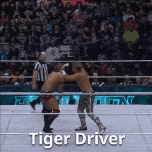 two wrestlers are fighting in a ring with the words tiger driver written on the bottom