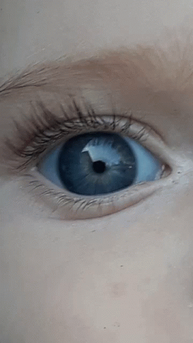 Eyes Different Shades GIF - Eyes Different Shades Different Colors GIFs