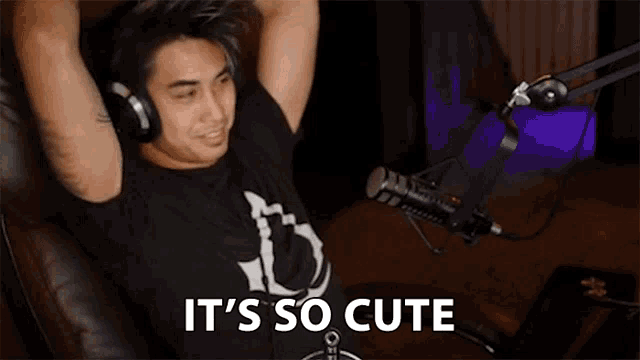 a man wearing headphones is standing in front of a microphone and says `` it 's so cute '' .