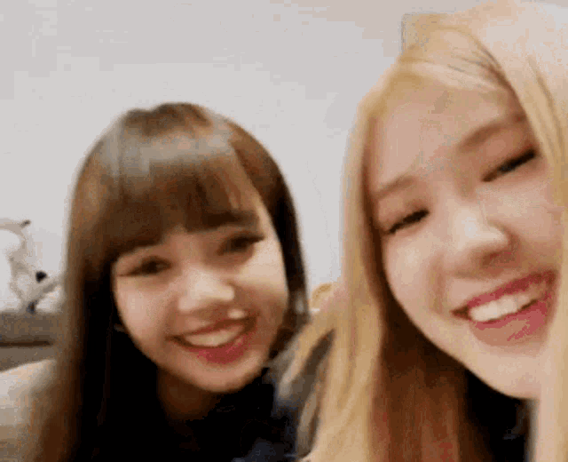 a close up of two women smiling for the camera .