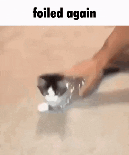 a cat is playing with a faucet and a person is trying to stop it .