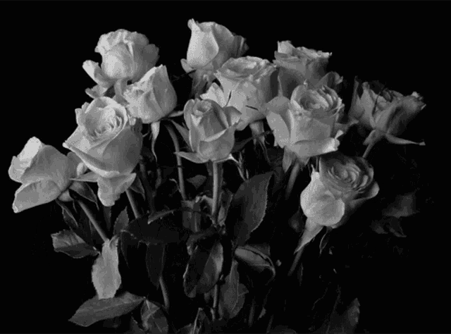 Roses Withered GIF - Roses Withered Black And White GIFs