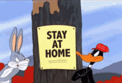 Bugs Bunny Duffy Duck GIF - Bugs Bunny Duffy Duck Stay At Home GIFs