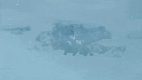 a person is standing in the snow near a rock