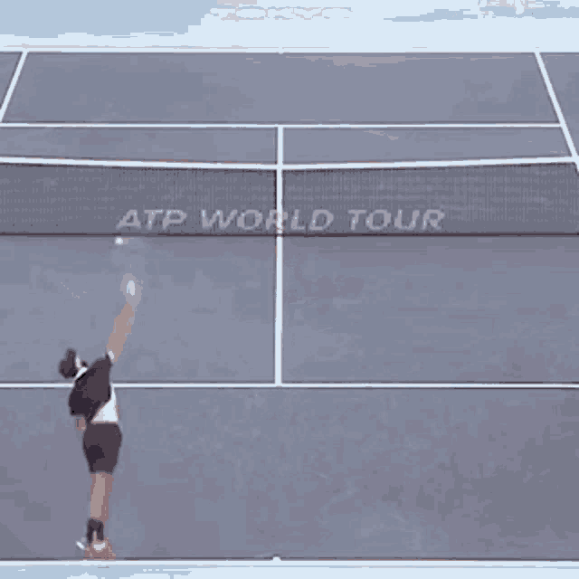 Benoit Paire Tennis GIF - Benoit Paire Tennis Tweener GIFs