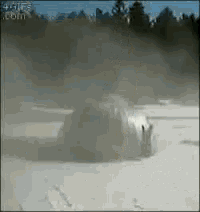 Boing Boner GIF