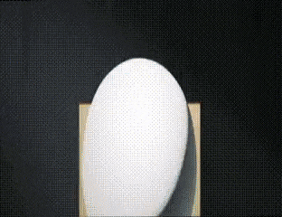 a white ball is sitting on a wooden block on a black background .