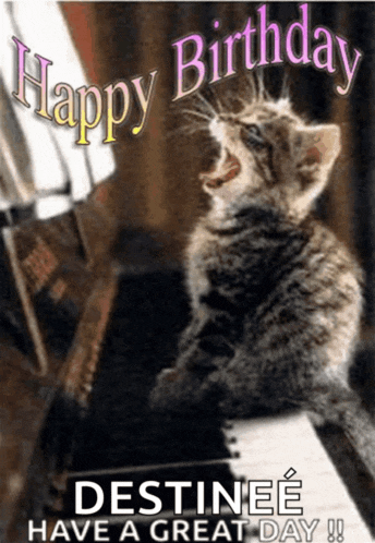 a birthday card with a kitten sitting on a piano