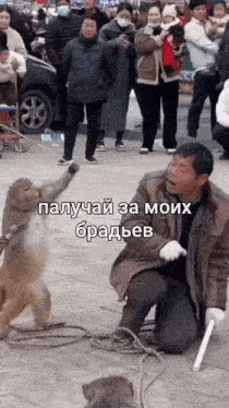 a man is kneeling down with a monkey on a leash .