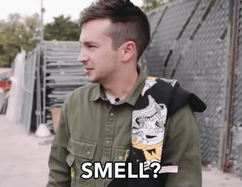 Smell Confused GIF - Smell Confused Do I Have Smell Bad GIFs